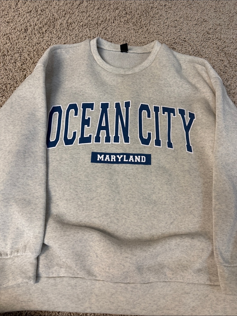 SHEIN Grey Crewneck Sweatshirt with Navy Ocean City Lettering